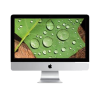 iMac 21-inch Core i5 3.1 GHz 1 TB SSD 16 GB RAM Zilver (4K, Late 2015)