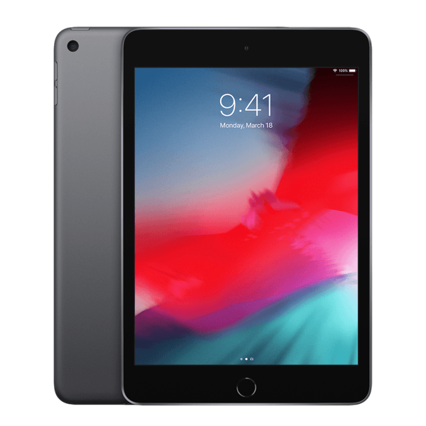 Refurbished iPad mini 5 256GB WiFi + 4G Spacegrau | Ohne Kabel und Ladegerät