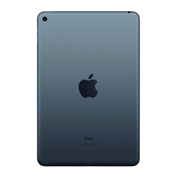 Refurbished iPad mini 5 256GB WiFi + 4G Spacegrau | Ohne Kabel und Ladegerät